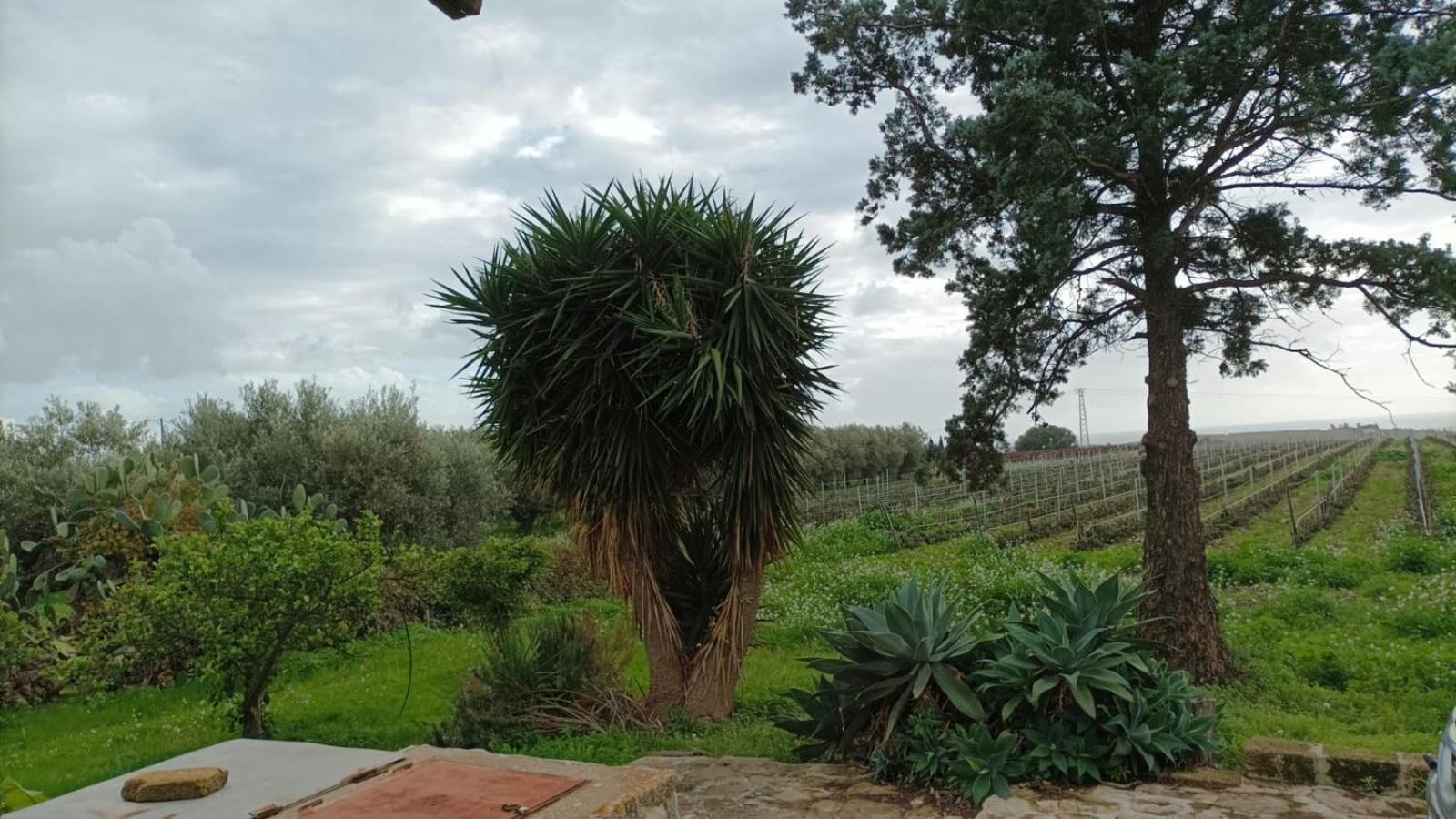 Casa Bouganville Villetta Tra Le Vigne E Il Mare Menfi Bagian luar foto