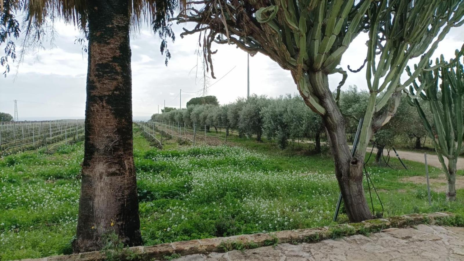 Casa Bouganville Villetta Tra Le Vigne E Il Mare Menfi Bagian luar foto