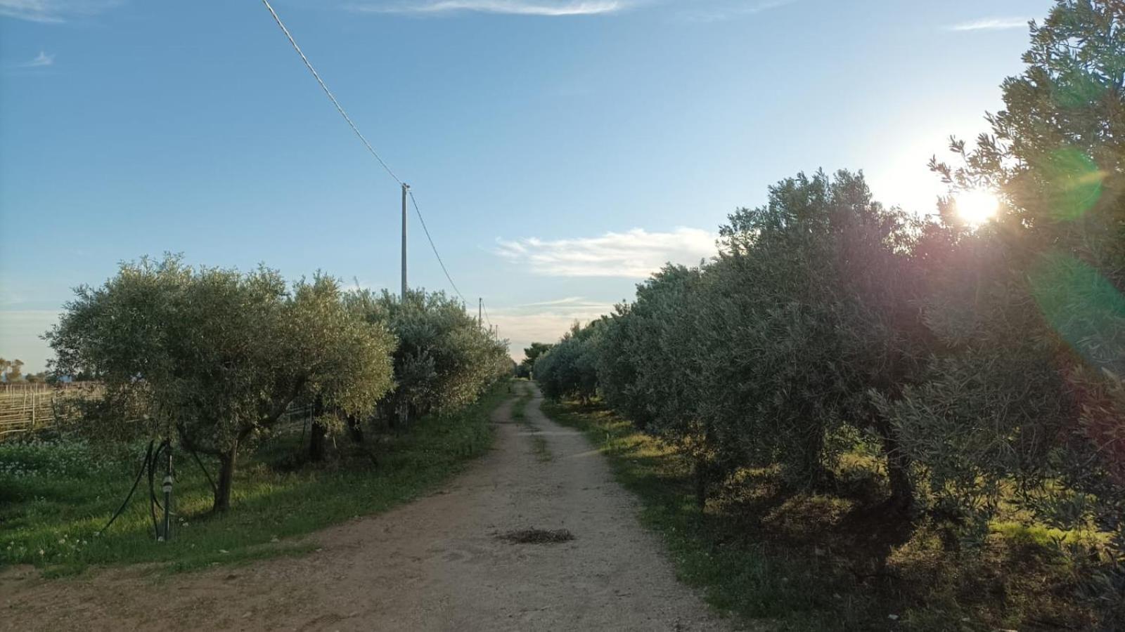Casa Bouganville Villetta Tra Le Vigne E Il Mare Menfi Bagian luar foto